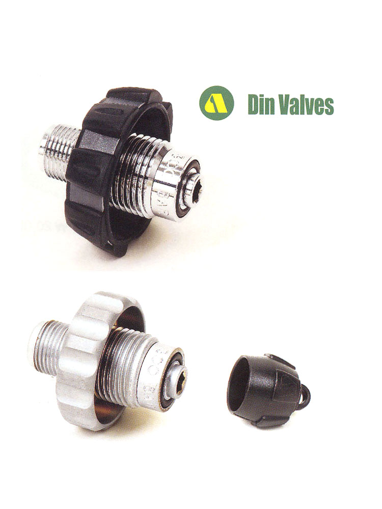 dinvalves11.jpg