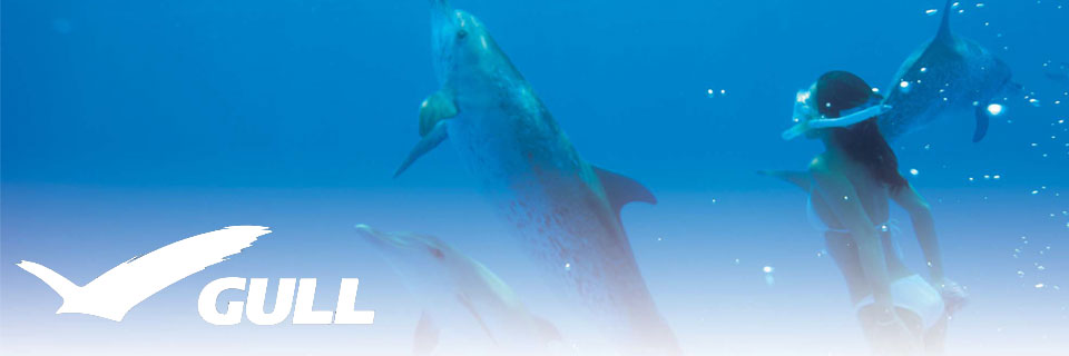 gullinfo.jpg