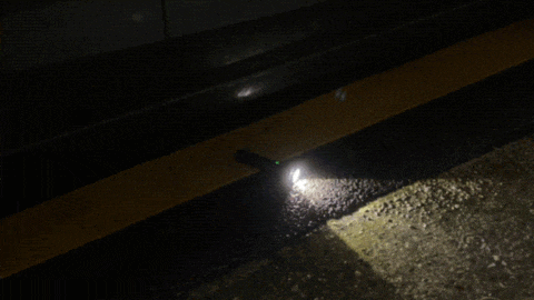e1f52f3d61571a1be74d15f2f5953328_1779270267_0372.gif