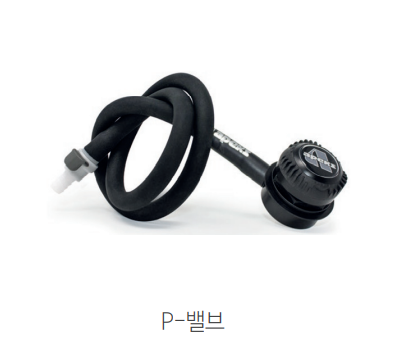 [19386]  아펙스 피밸브 p - valve