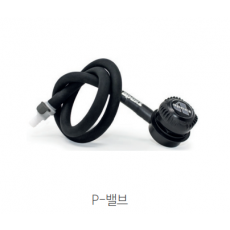 [19386]  아펙스 피밸브 p - valve