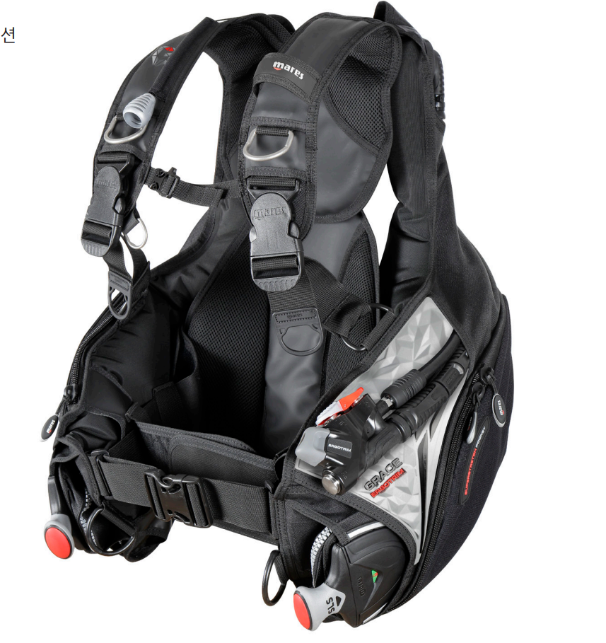 [19481]  그레이스 에르고트림