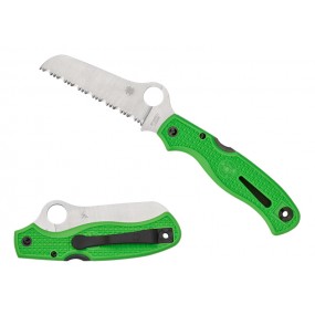 [19496] C89 FSGR ATLANTIC SALT GREEN LC200N