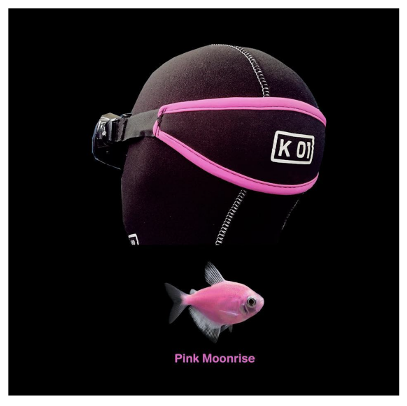 [19524]     K01 Mask Straps 마스크 스트랩