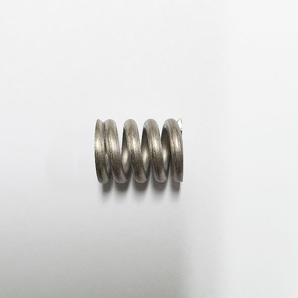 [21333] Main spring 1st st. R2