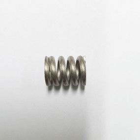 [21333] Main spring 1st st. R2