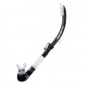 [428] 넥서스 스노클