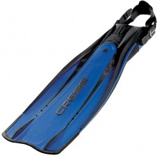 [2581] 프로라이트