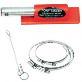 [3726] 포니테이머