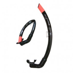 [8563] 제네시스 프리