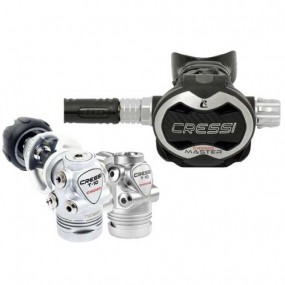 [13561] 크롬 마스터 / T10 크롬 SC