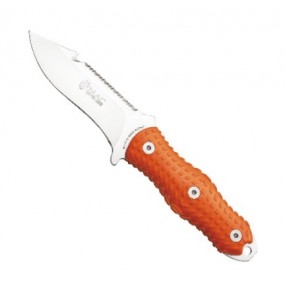 [16072] 알리 다이브 오렌지