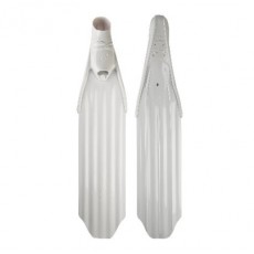 [16351] 서퍼 화이트