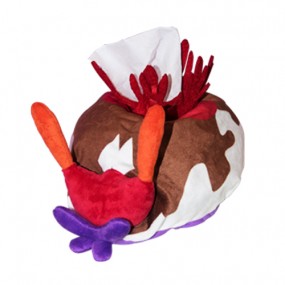 [17150] 누디브렌치(레드) 티슈박스