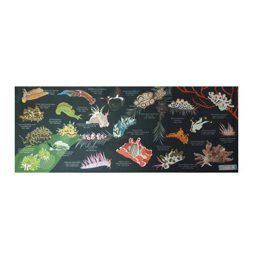 [17164] 누디브렌치 (블랙)_스포츠 타월 100cm x 40cm