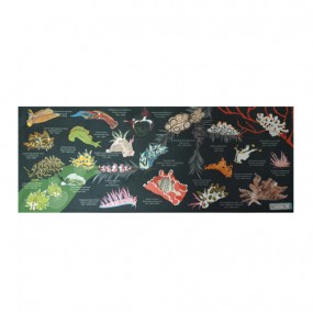 [17164] 누디브렌치 (블랙)_스포츠 타월 100cm x 40cm