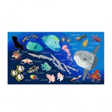 [17167] 개복치 (블루)_스포츠 타월 110cm x 60cm