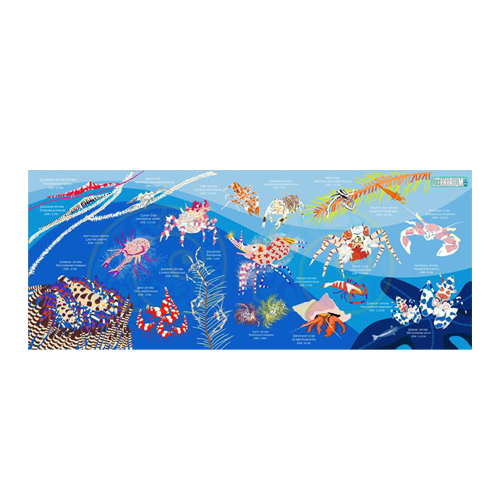 [17195] 새우와 게_스포츠 타월 120cm x 50cm