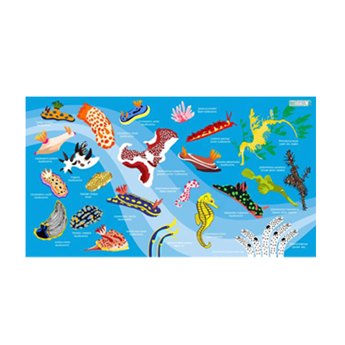 [17198] 누디브렌치 (스카이)_스포츠 타월 140cm x 80cm