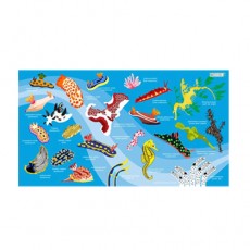 [17198] 누디브렌치 (스카이)_스포츠 타월 140cm x 80cm