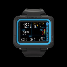 [18716] 페레그린 (트랜스미터 호환불가)